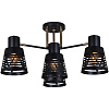 Светильник потолочный 06074-3.3-04 BK+FG купить в СОМ