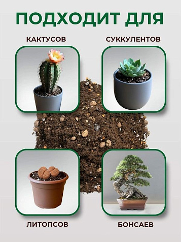 Грунт Terramis для Кактусов и Суккулентов 2л органо-минеральный купить в СОМ