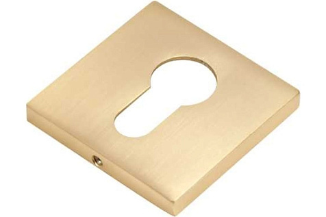 Накладка B0-40 W.GOLD купить в СОМ