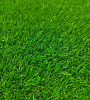 Искусственная трава Artificial Grass BM-1 3713 37мм; 2 м купить в СОМ