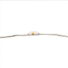 Гирлянда светодиодная Neon-Night Роса Светодиодный дождь 3х2м LED тепл. бел.12Вт IP20 USB ПДУ купить в СОМ