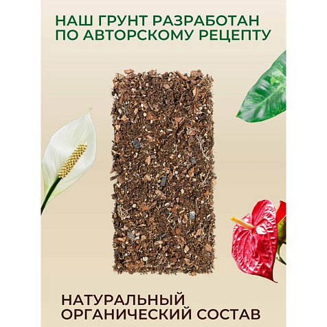 Грунт Terramis для Антуриума и Спатифиллума 2л органо-минеральный купить в СОМ