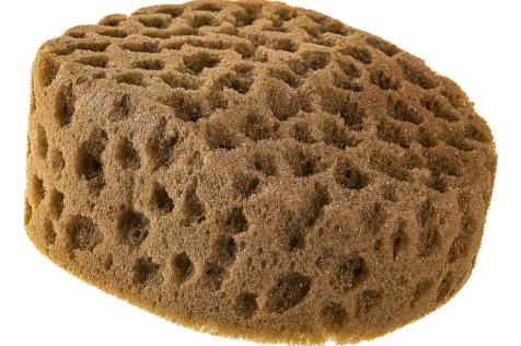 Губка STMDECOR, морская искусственная, круглая купить в СОМ