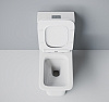 Унитаз монолит Eva Gold SM9615, безободковый, сиденье дюропласт тонкое купить в СОМ