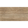 Керамогранит Global Tile Cosy  Коричневый, 300х600х9 мм, 6 шт. = 1.08 кв. м 6260-0244-1031 купить в СОМ