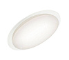 Светильник светодиодный LE LED CLL Galaxy 120W купить в СОМ
