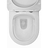 Инсталляция Loranto Prestige 4551, унитаз Azario Teramo AZ-0053 SP, сиденье микролифт, без кнопки купить в СОМ