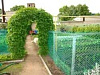 Сетка пластиковая 55х55 мм 1.5х10 м, зеленая купить в СОМ