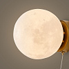 Бра Freya FR5457WL-01G 15 Вт E27 до 3 м² купить в СОМ