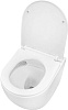 Унитаз подвесной Azario Allegro AZ-3105C, безободковый, торнадо, микролифт купить в СОМ