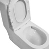 Унитаз монолит Azario Eagle AZ-80673, безободковый, торнадо, микролифт купить в СОМ