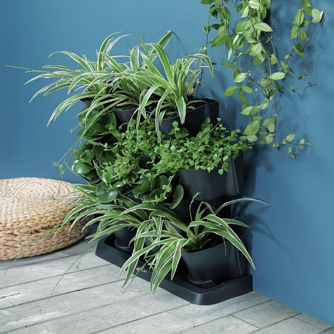 Вертикальный сад Cascade Garden чёрный купить в СОМ