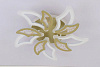 Люстра Светодиодная  LS-001195-5WT купить в СОМ
