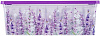 Коробка Lavender 5,5л купить в СОМ