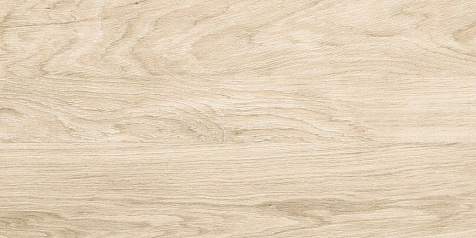 Керамогранит Alma Ceramica Brentwood  Бежевый матовый, 300х600х9 мм, 6 шт. = 1.08 кв. м GFA3060BWD04R купить в СОМ