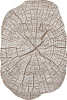 Ковер Safir Karmen 1,95х2,9м купить в СОМ