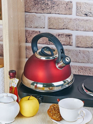 Чайник 3,0л индукция КТ-108К купить в СОМ