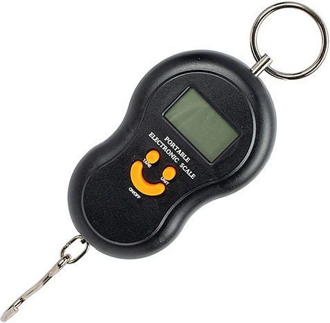 Весы Безмен Praktische Home 50кг электронные купить в СОМ